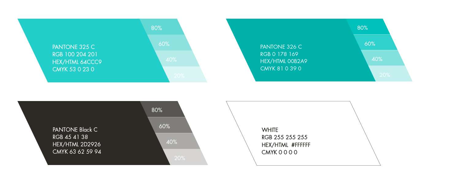 sviluppo Siti web Bergamo e palette design